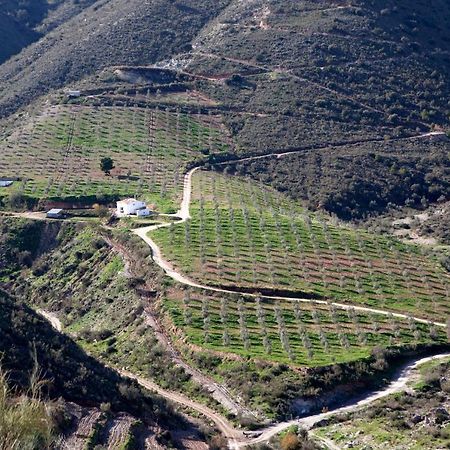 Villa Cortijo El Rancho Albanchez Esterno foto