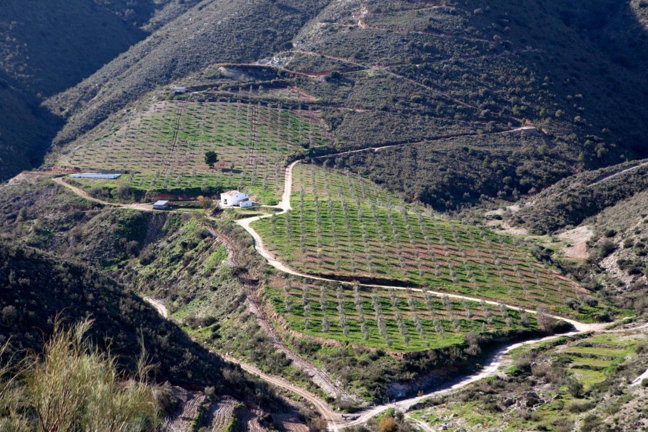Villa Cortijo El Rancho Albanchez Esterno foto