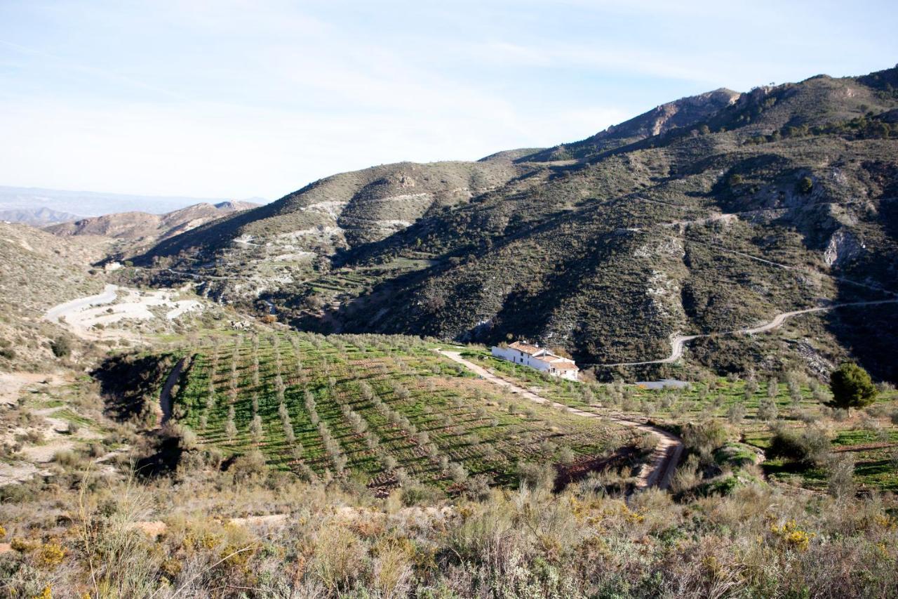 Villa Cortijo El Rancho Albanchez Esterno foto