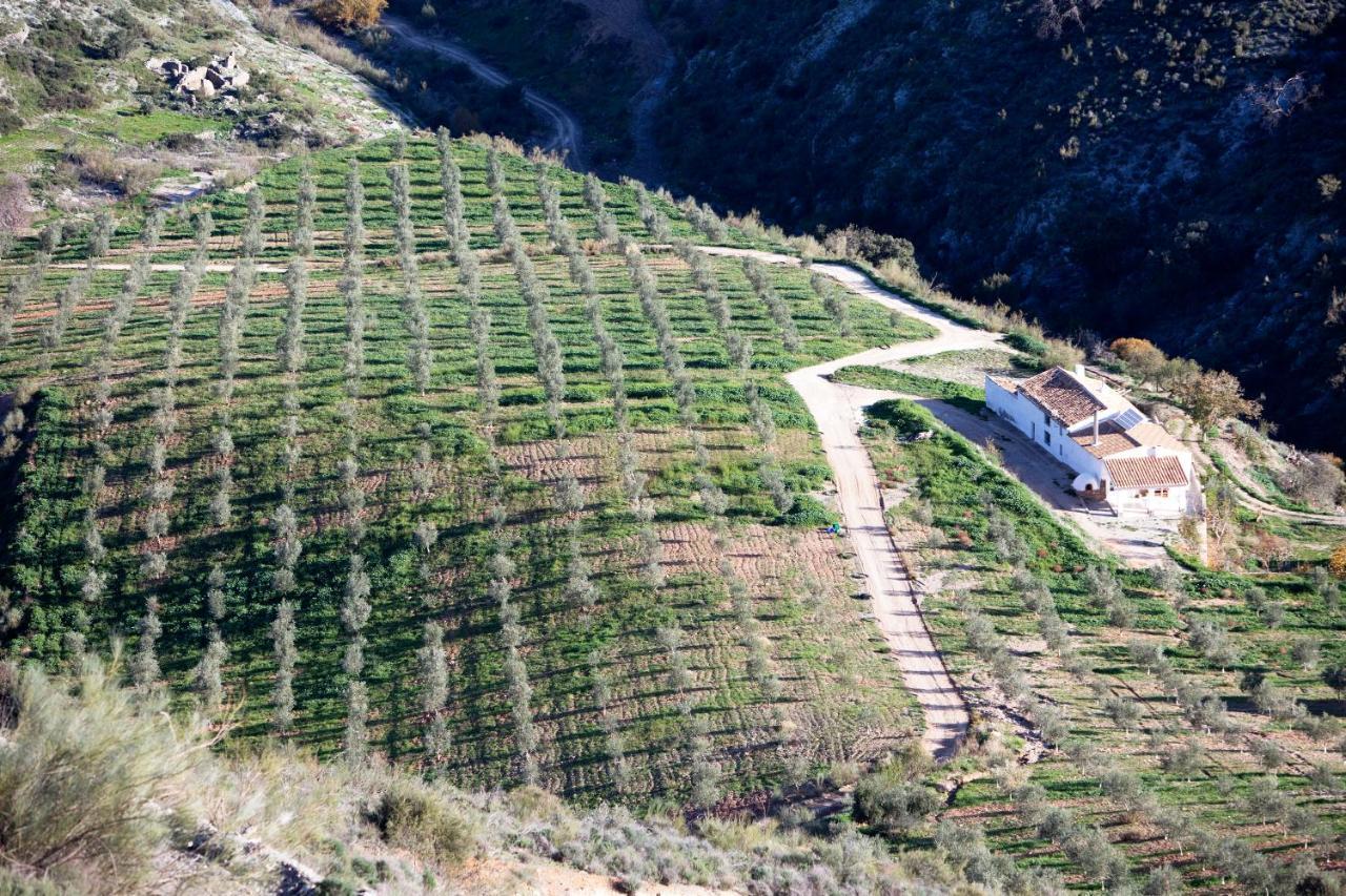 Villa Cortijo El Rancho Albanchez Esterno foto